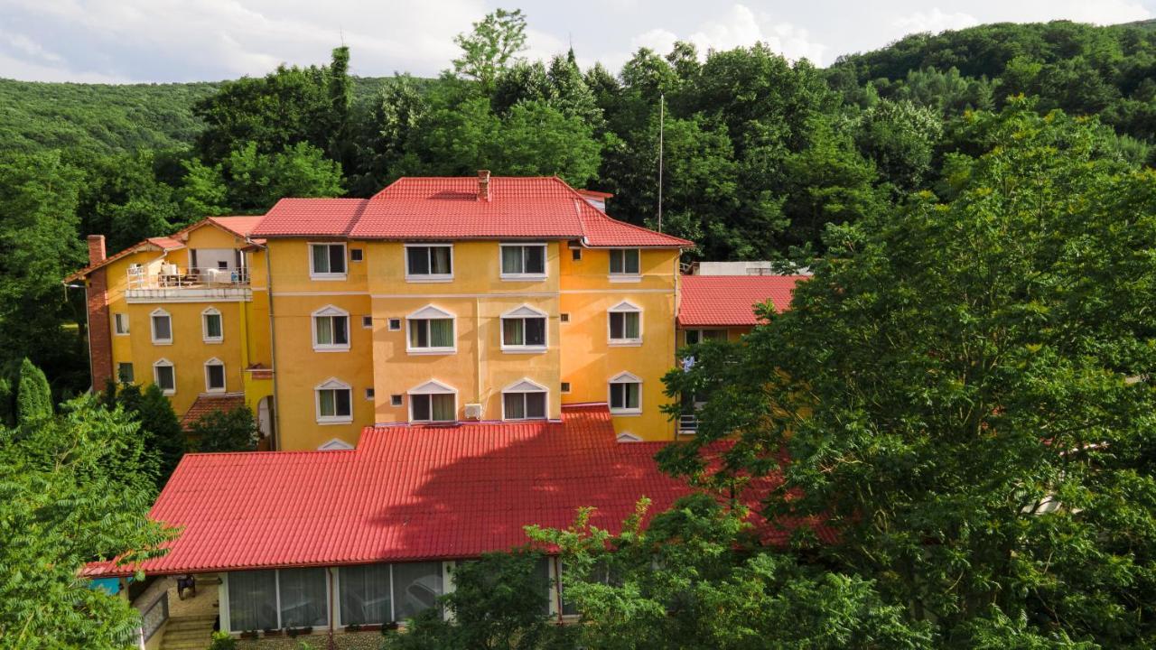 Aida Hotel Spa & Tratament Geoagiu Băi Dış mekan fotoğraf
