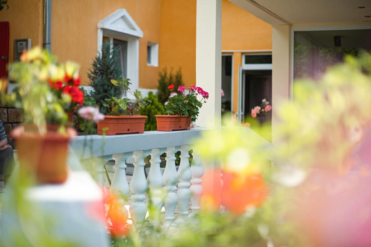 Aida Hotel Spa & Tratament Geoagiu Băi Dış mekan fotoğraf