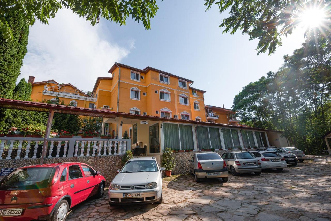 Aida Hotel Spa & Tratament Geoagiu Băi Dış mekan fotoğraf